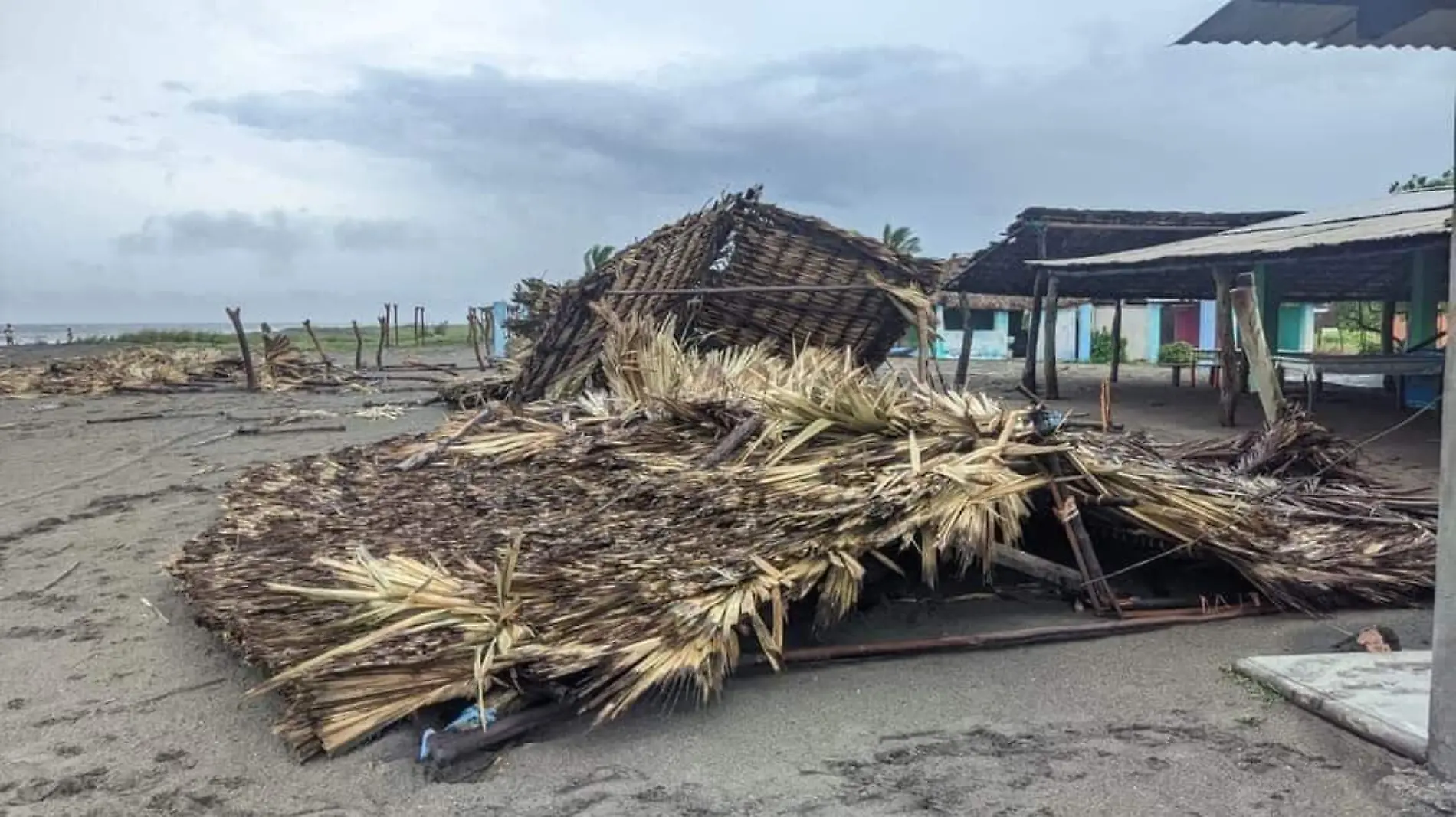 PALAPA DERRIBADA